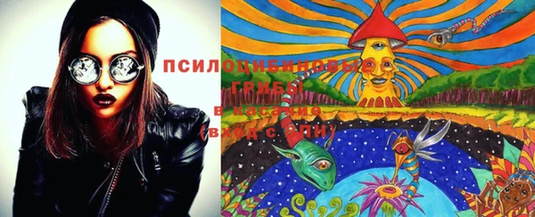 метадон Магас