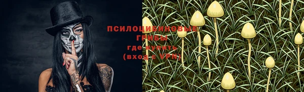 шишки Майский