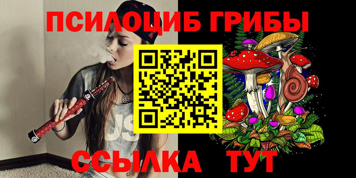 Галлюциногенные грибы Psilocybe  Вход с VPN  Псилоцибиновые грибы Psilocybe  Евпатория 